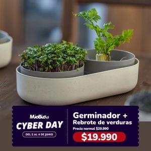 Granja de Lombrices compacta para vermicompostaje y compostaje interior – Color Gris Con Detalle Estéstico
