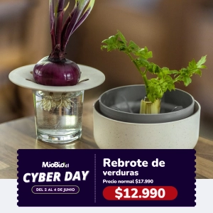 Rebrote de alimentos – ReGrow