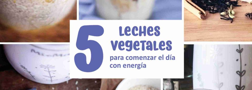 img_0083_5 leches vegetales para comenzar el día con energía