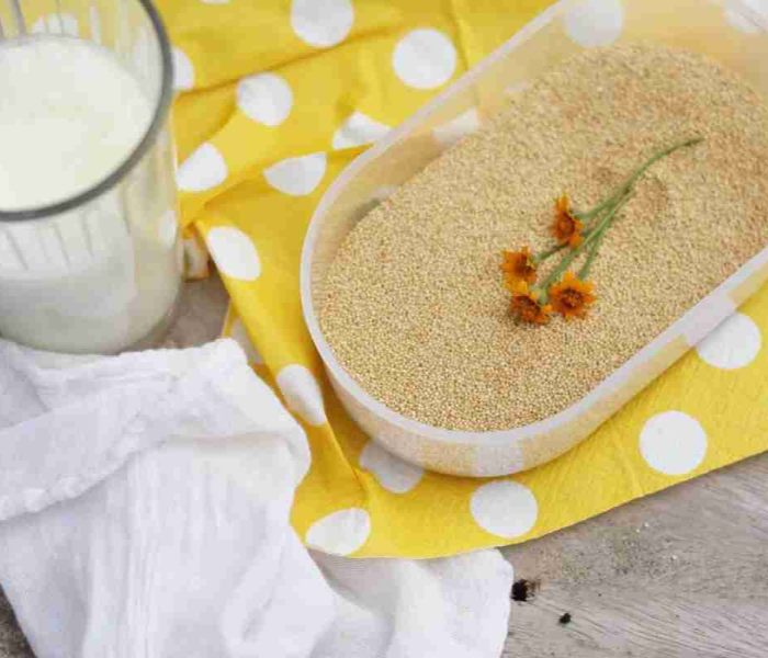 Leche-de-Amaranto,-dátiles-y-coco--img
