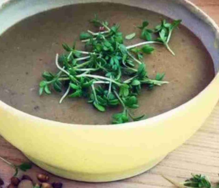 Sopa-de-Lentejas-img