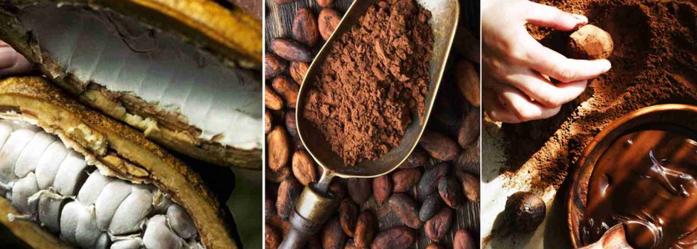 img_0051_CHOCOLATE vs. CACAO, y UNA TERCERA OPCIÓN LA ALGARROBA