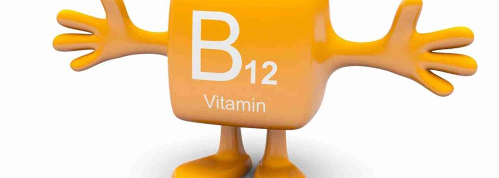 img_0137_Que sabemos de la vitamina B12